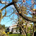 La Tenora Hébergement de vacances