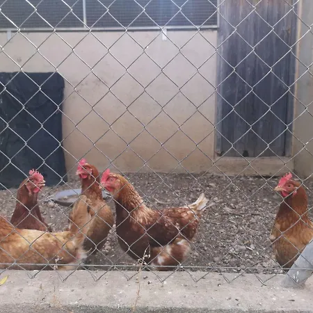 Tatil Evi La Tenora Tivenys